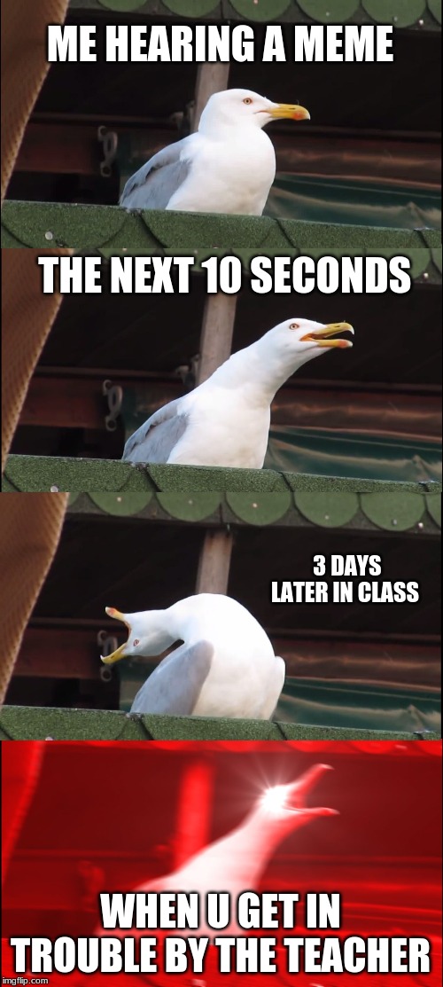 Inhaling Seagull | ME HEARING A MEME; THE NEXT 10 SECONDS; 3 DAYS LATER IN CLASS; WHEN U GET IN TROUBLE BY THE TEACHER | image tagged in memes,inhaling seagull | made w/ Imgflip meme maker