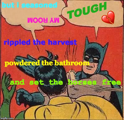 Batman Slapping Robin | but i seasoned; TOUGH; 💔; MY ROOM; rippled the harvest; powdered the bathroom; and set the horses free | image tagged in memes,batman slapping robin,transgender bathroom,season 8,free stuff,how tough are you | made w/ Imgflip meme maker
