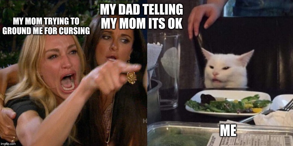 Woman yelling at cat | MY DAD TELLING MY MOM ITS OK; MY MOM TRYING TO GROUND ME FOR CURSING; ME | image tagged in woman yelling at cat | made w/ Imgflip meme maker