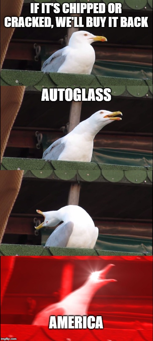 Inhaling Seagull | IF IT'S CHIPPED OR CRACKED, WE'LL BUY IT BACK; AUTOGLASS; AMERICA | image tagged in memes,inhaling seagull | made w/ Imgflip meme maker