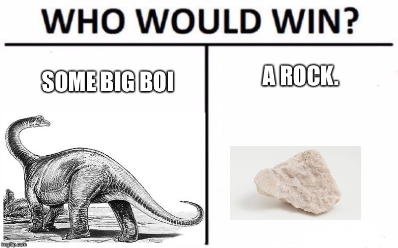  A ROCK. SOME BIG BOI | image tagged in funny,memes,who would win | made w/ Imgflip meme maker