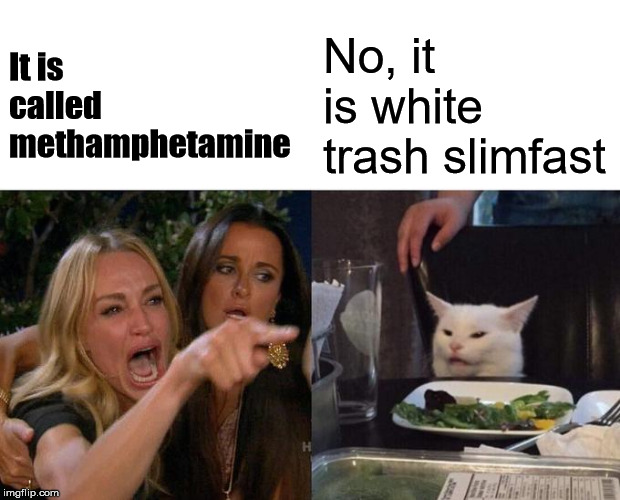 Meth is good on loosing weight, teeth, your looks and your life. | It is called methamphetamine; No, it is white trash slimfast | image tagged in memes,woman yelling at cat | made w/ Imgflip meme maker