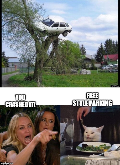 YOU  CRASHED IT! FREE STYLE PARKING | image tagged in memes,woman yelling at cat | made w/ Imgflip meme maker