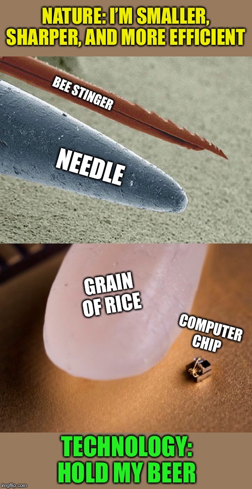 Nature vs. Technology | NATURE: I’M SMALLER, SHARPER, AND MORE EFFICIENT; BEE STINGER; NEEDLE; GRAIN OF RICE; COMPUTER CHIP; TECHNOLOGY: HOLD MY BEER | image tagged in nature,vs,technology,hold my beer,awesome,memes | made w/ Imgflip meme maker