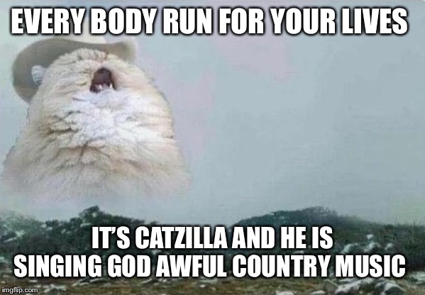 Country Cat | EVERY BODY RUN FOR YOUR LIVES; IT’S CATZILLA AND HE IS SINGING GOD AWFUL COUNTRY MUSIC | image tagged in country cat | made w/ Imgflip meme maker