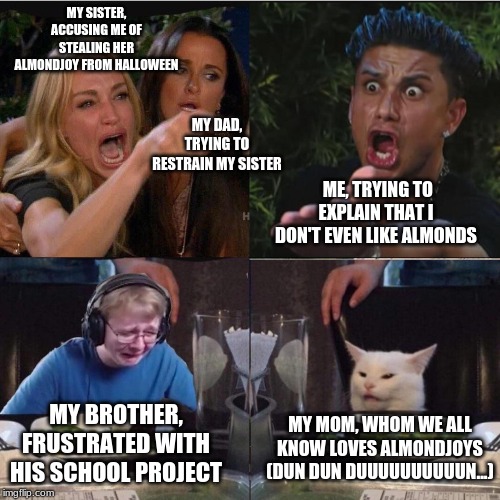 Four panel Taylor Armstrong Pauly D CallmeCarson Cat | MY SISTER, ACCUSING ME OF STEALING HER ALMONDJOY FROM HALLOWEEN; MY DAD, TRYING TO RESTRAIN MY SISTER; ME, TRYING TO EXPLAIN THAT I DON'T EVEN LIKE ALMONDS; MY BROTHER, FRUSTRATED WITH HIS SCHOOL PROJECT; MY MOM, WHOM WE ALL KNOW LOVES ALMONDJOYS
(DUN DUN DUUUUUUUUUUN...) | image tagged in four panel taylor armstrong pauly d callmecarson cat | made w/ Imgflip meme maker