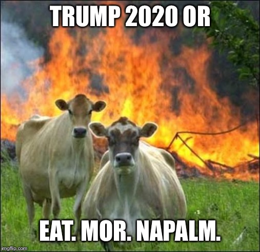 Evil Cows Meme | TRUMP 2020 OR EAT. MOR. NAPALM. | image tagged in memes,evil cows | made w/ Imgflip meme maker