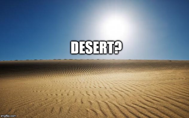 desert | DESERT? | image tagged in desert | made w/ Imgflip meme maker