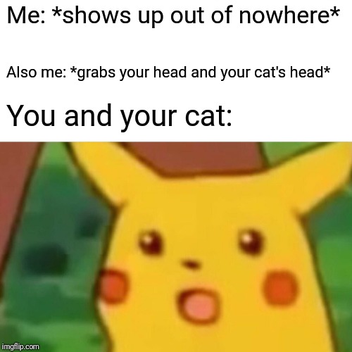 Surprised Pikachu Meme | Me: *shows up out of nowhere* Also me: *grabs your head and your cat's head* You and your cat: | image tagged in memes,surprised pikachu | made w/ Imgflip meme maker