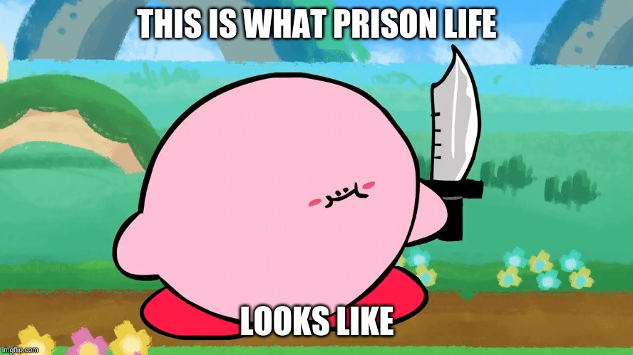Kirb with a Knife | THIS IS WHAT PRISON LIFE; LOOKS LIKE | image tagged in kirby | made w/ Imgflip meme maker