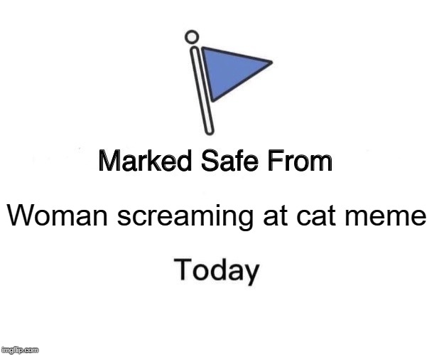 Marked Safe From | Woman screaming at cat meme | image tagged in memes,marked safe from | made w/ Imgflip meme maker