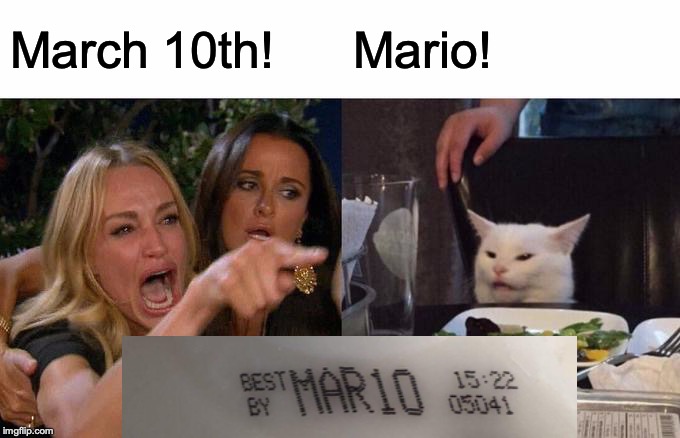 Woman Yelling At Cat | March 10th! Mario! | image tagged in memes,woman yelling at cat | made w/ Imgflip meme maker