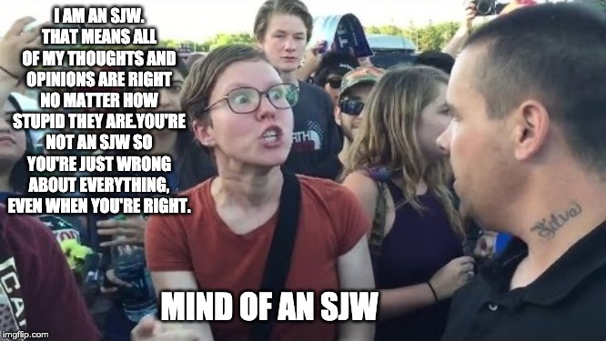 SJW Warning | I AM AN SJW. THAT MEANS ALL OF MY THOUGHTS AND OPINIONS ARE RIGHT NO MATTER HOW STUPID THEY ARE.YOU'RE NOT AN SJW SO YOU'RE JUST WRONG ABOUT EVERYTHING, EVEN WHEN YOU'RE RIGHT. MIND OF AN SJW | image tagged in sjw warning | made w/ Imgflip meme maker