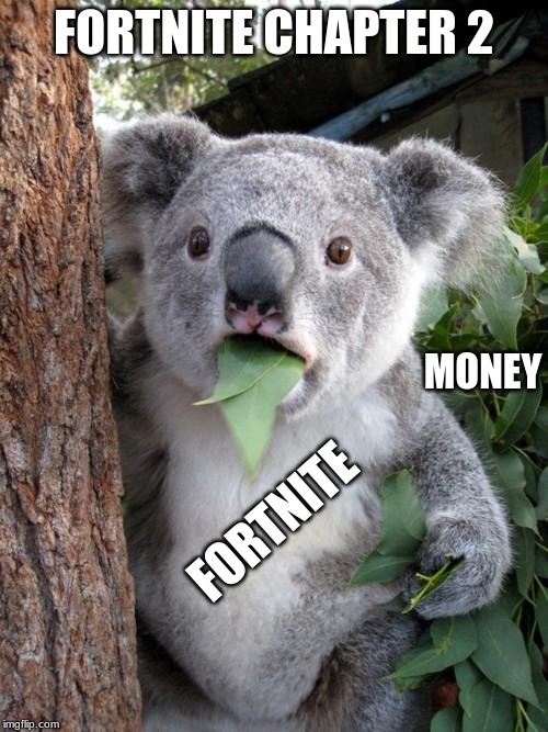 Surprised Koala Meme | FORTNITE CHAPTER 2; FORTNITE; MONEY | image tagged in memes,surprised koala | made w/ Imgflip meme maker