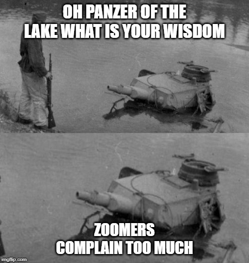 OH PANZER OF THE LAKE WHAT IS YOUR WISDOM; ZOOMERS COMPLAIN TOO MUCH | image tagged in funny,zoom | made w/ Imgflip meme maker