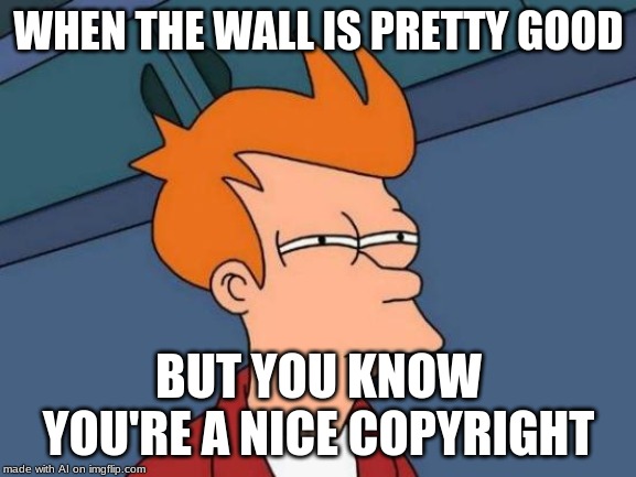 Futurama Fry | WHEN THE WALL IS PRETTY GOOD; BUT YOU KNOW YOU'RE A NICE COPYRIGHT | image tagged in memes,futurama fry | made w/ Imgflip meme maker