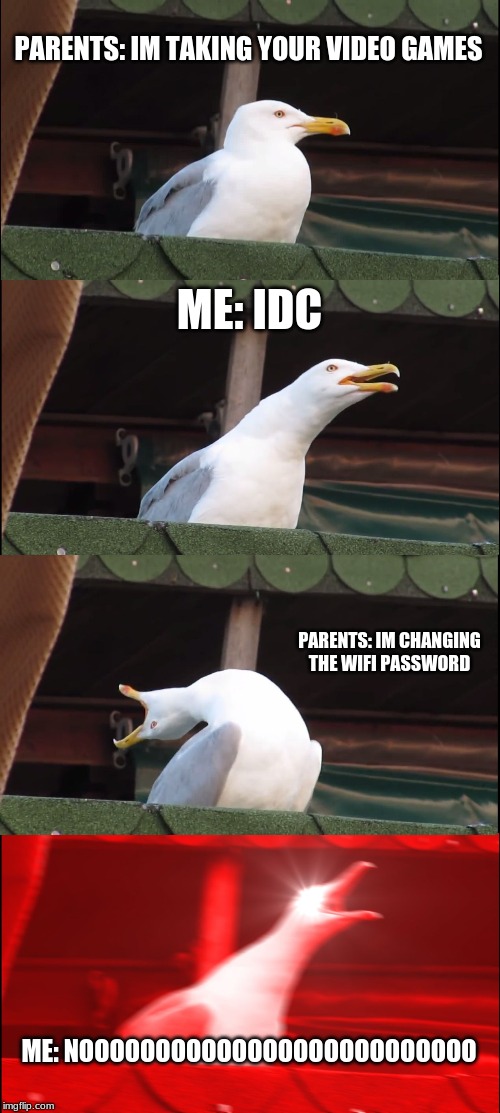 Inhaling Seagull Meme | PARENTS: IM TAKING YOUR VIDEO GAMES; ME: IDC; PARENTS: IM CHANGING THE WIFI PASSWORD; ME: NOOOOOOOOOOOOOOOOOOOOOOOOOO | image tagged in memes,inhaling seagull | made w/ Imgflip meme maker