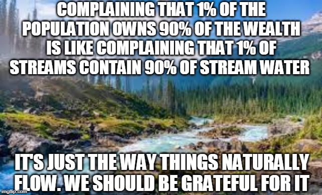 COMPLAINING THAT 1% OF THE POPULATION OWNS 90% OF THE WEALTH IS LIKE COMPLAINING THAT 1% OF STREAMS CONTAIN 90% OF STREAM WATER; IT'S JUST THE WAY THINGS NATURALLY FLOW. WE SHOULD BE GRATEFUL FOR IT | image tagged in streams,economics,socialism,capitalism,water,wealth | made w/ Imgflip meme maker