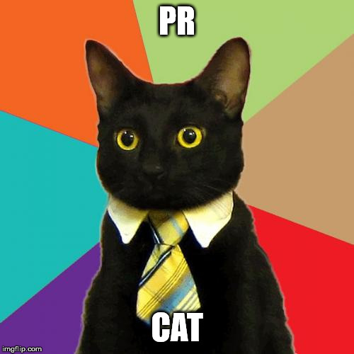 Business Cat Meme | PR; CAT | image tagged in memes,business cat | made w/ Imgflip meme maker