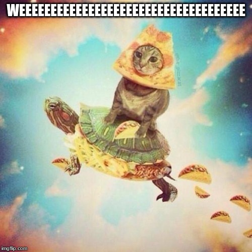 Space Pizza Cat Turtle Tacos | WEEEEEEEEEEEEEEEEEEEEEEEEEEEEEEEEEEEE | image tagged in space pizza cat turtle tacos | made w/ Imgflip meme maker