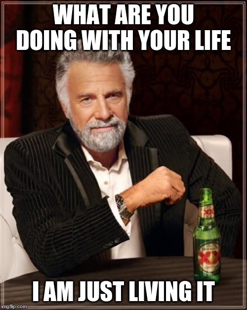 The Most Interesting Man In The World Meme | WHAT ARE YOU DOING WITH YOUR LIFE; I AM JUST LIVING IT | image tagged in memes,the most interesting man in the world | made w/ Imgflip meme maker