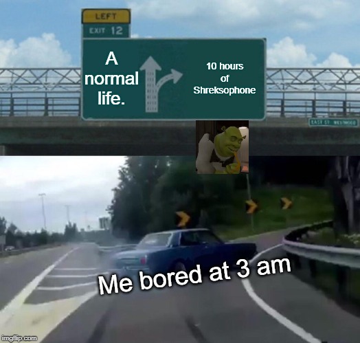 Left Exit 12 Off Ramp Meme | A normal life. 10 hours of Shreksophone; Me bored at 3 am | image tagged in memes,left exit 12 off ramp | made w/ Imgflip meme maker