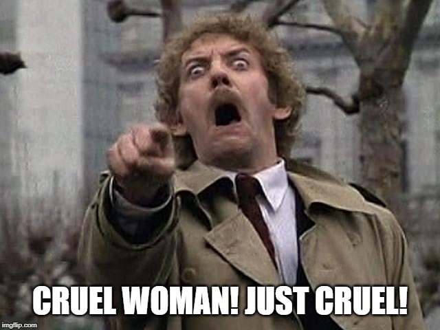 Bodysnatcher accusation | CRUEL WOMAN! JUST CRUEL! | image tagged in bodysnatcher accusation | made w/ Imgflip meme maker