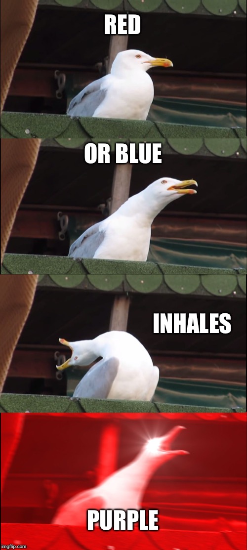 Inhaling Seagull | RED; OR BLUE; INHALES; PURPLE | image tagged in memes,inhaling seagull | made w/ Imgflip meme maker