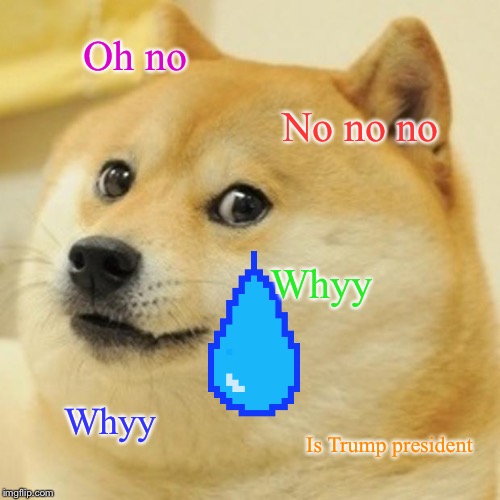 Doge | Oh no; No no no; Whyy; Whyy; Is Trump president | image tagged in memes,doge | made w/ Imgflip meme maker