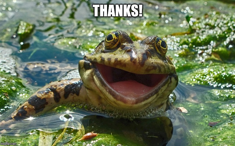 Happy Frog | THANKS! | image tagged in happy frog | made w/ Imgflip meme maker