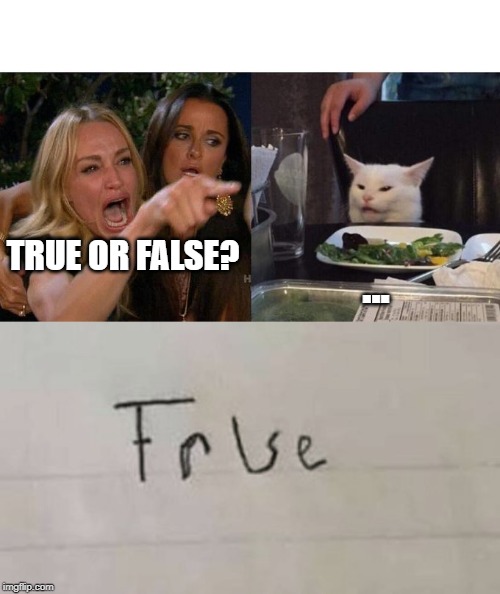 ... TRUE OR FALSE? | image tagged in memes,woman yelling at cat | made w/ Imgflip meme maker