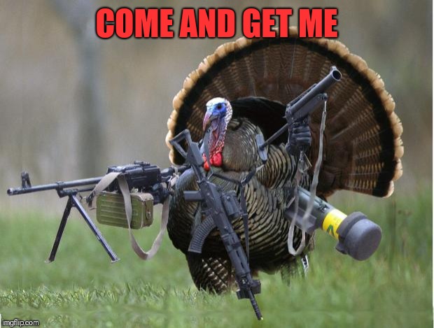 turkey | COME AND GET ME | image tagged in turkey | made w/ Imgflip meme maker