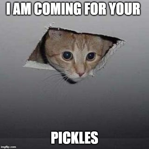 Ceiling Cat Meme | I AM COMING FOR YOUR; PICKLES | image tagged in memes,ceiling cat | made w/ Imgflip meme maker