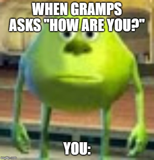 Sully Wazowski | WHEN GRAMPS ASKS "HOW ARE YOU?"; YOU: | image tagged in sully wazowski | made w/ Imgflip meme maker