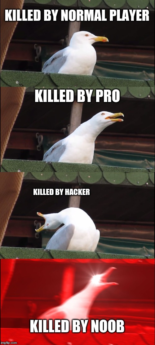Inhaling Seagull Meme | KILLED BY NORMAL PLAYER; KILLED BY PRO; KILLED BY HACKER; KILLED BY NOOB | image tagged in memes,inhaling seagull | made w/ Imgflip meme maker