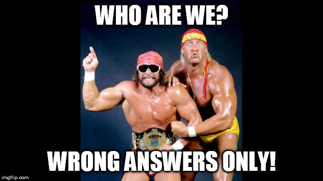 hulk hogan & macho man randy savage excited | WHO ARE WE? WRONG ANSWERS ONLY! | image tagged in hulk hogan  macho man randy savage excited | made w/ Imgflip meme maker