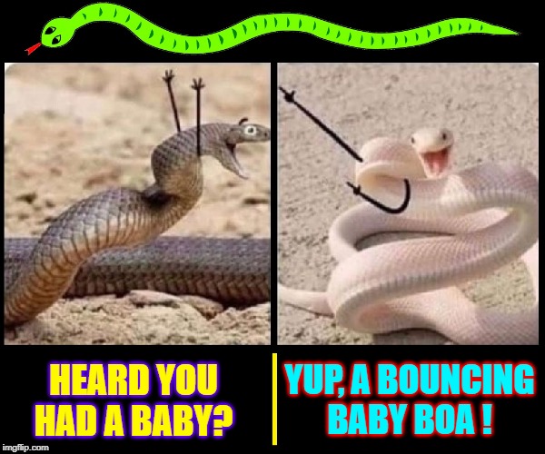 Snake, Rattle & Roll |  YUP, A BOUNCING BABY BOA ! HEARD YOU HAD A BABY? | image tagged in vince vance,snakes,jokes,snake puns,rattlesnake,albino | made w/ Imgflip meme maker