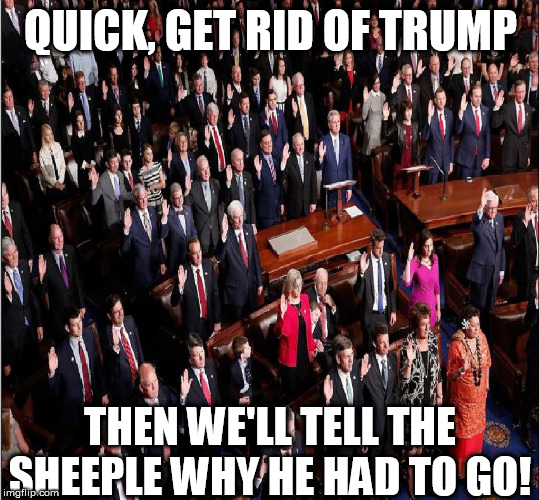 BLITZKRIEG!  WE'LL FILL IN THE  DETAILS   LATER! | QUICK, GET RID OF TRUMP; THEN WE'LL TELL THE SHEEPLE WHY HE HAD TO GO! | image tagged in democrat thinking,demoncrats method,their scheme,evil plot | made w/ Imgflip meme maker