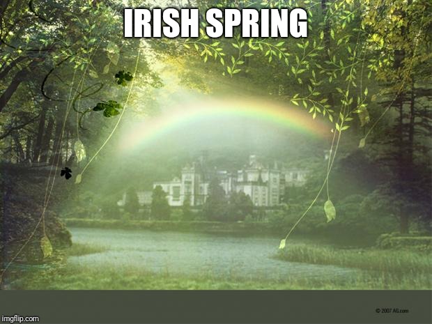 Irish Birthday Wish | IRISH SPRING | image tagged in irish birthday wish | made w/ Imgflip meme maker