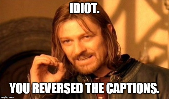One Does Not Simply Meme | IDIOT. YOU REVERSED THE CAPTIONS. | image tagged in memes,one does not simply | made w/ Imgflip meme maker