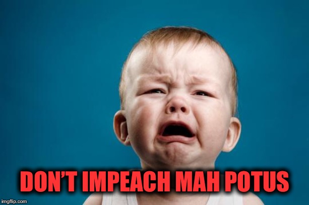 BABY CRYING | DON’T IMPEACH MAH POTUS | image tagged in baby crying | made w/ Imgflip meme maker