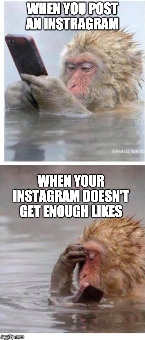 Social Media | WHEN YOU POST AN INSTRAGRAM; WHEN YOUR INSTAGRAM DOESN'T GET ENOUGH LIKES | image tagged in monkeys phone | made w/ Imgflip meme maker