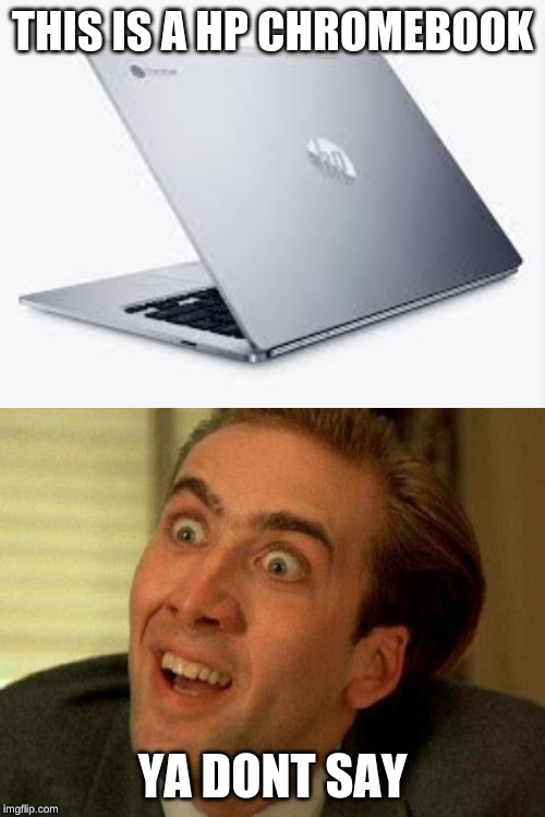 THIS IS A HP CHROMEBOOK; YA DONT SAY | image tagged in ya dont say | made w/ Imgflip meme maker
