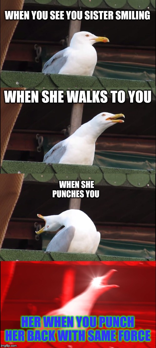 Inhaling Seagull Meme | WHEN YOU SEE YOU SISTER SMILING; WHEN SHE WALKS TO YOU; WHEN SHE PUNCHES YOU; HER WHEN YOU PUNCH HER BACK WITH SAME FORCE | image tagged in memes,inhaling seagull | made w/ Imgflip meme maker