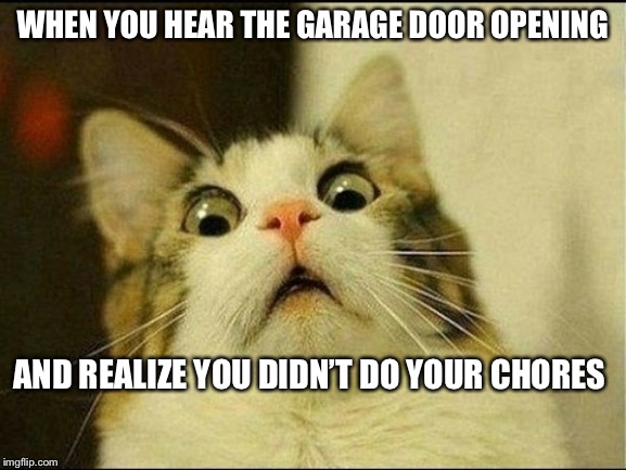 scared cat | WHEN YOU HEAR THE GARAGE DOOR OPENING; AND REALIZE YOU DIDN’T DO YOUR CHORES | image tagged in scared cat | made w/ Imgflip meme maker