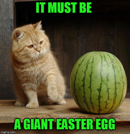 IT MUST BE A GIANT EASTER EGG | made w/ Imgflip meme maker