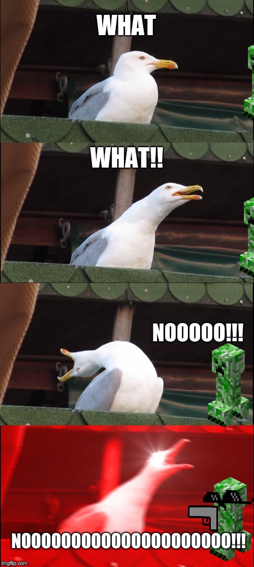 Inhaling Seagull Meme | WHAT; WHAT!! NOOOOO!!! NOOOOOOOOOOOOOOOOOOOOO!!! | image tagged in memes,inhaling seagull | made w/ Imgflip meme maker