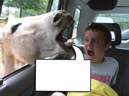 High Quality Horse Scares Kid Blank Meme Template