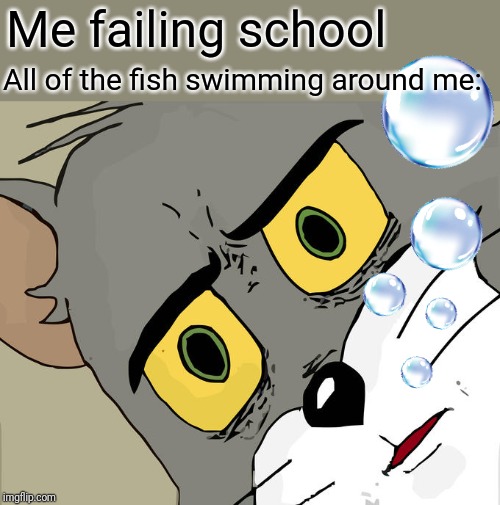 I guess that would be a Catfish. | Me failing school; All of the fish swimming around me: | image tagged in memes,unsettled tom,catfish,swimming,school,fish tank | made w/ Imgflip meme maker