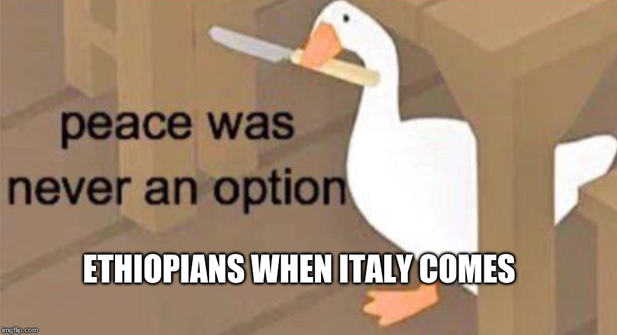 Untitled Goose Peace Was Never an Option | ETHIOPIANS WHEN ITALY COMES | image tagged in untitled goose peace was never an option | made w/ Imgflip meme maker